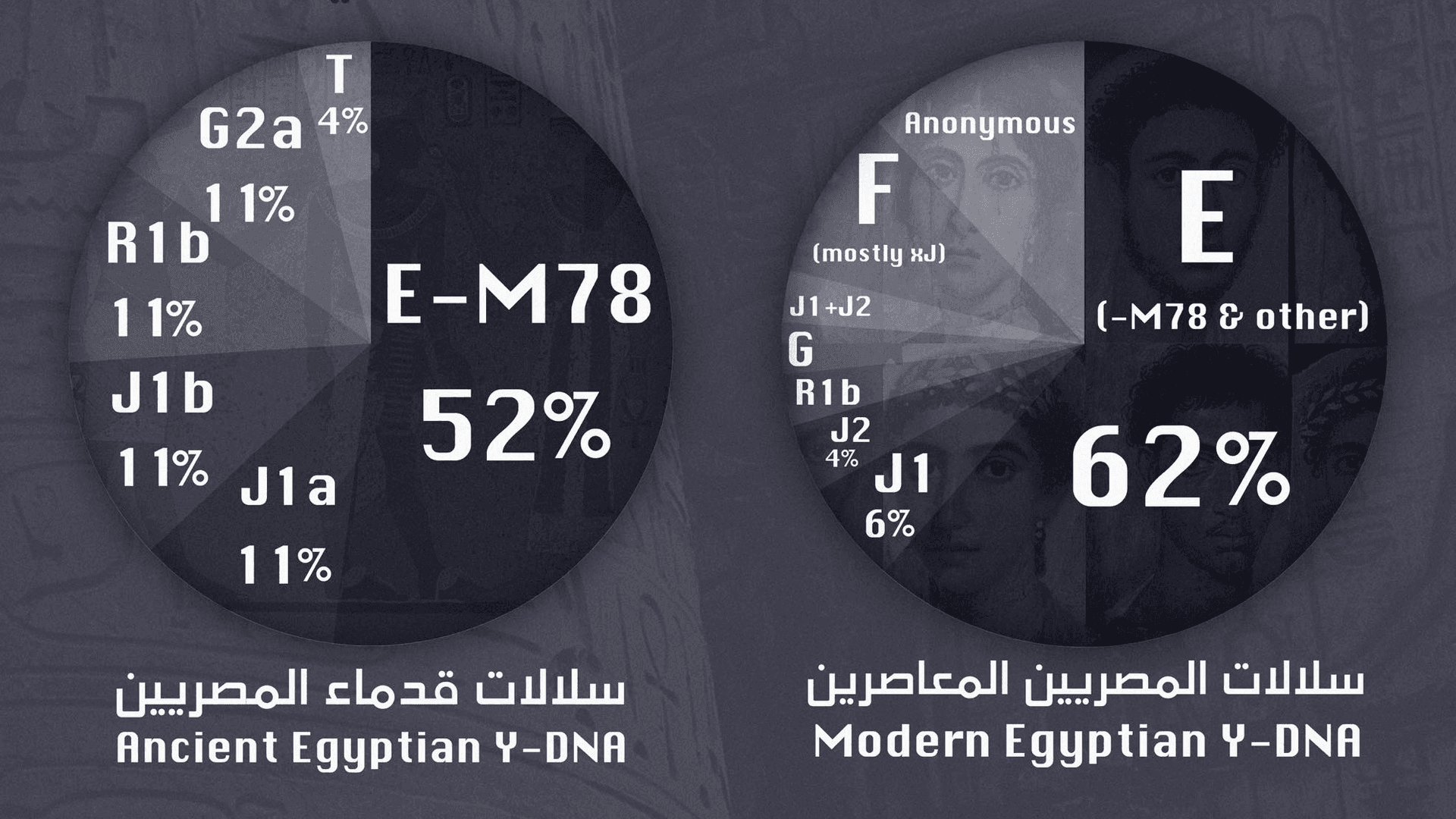 مقارنة السلالات الجينية للمصريين المعاصرين والقدماء