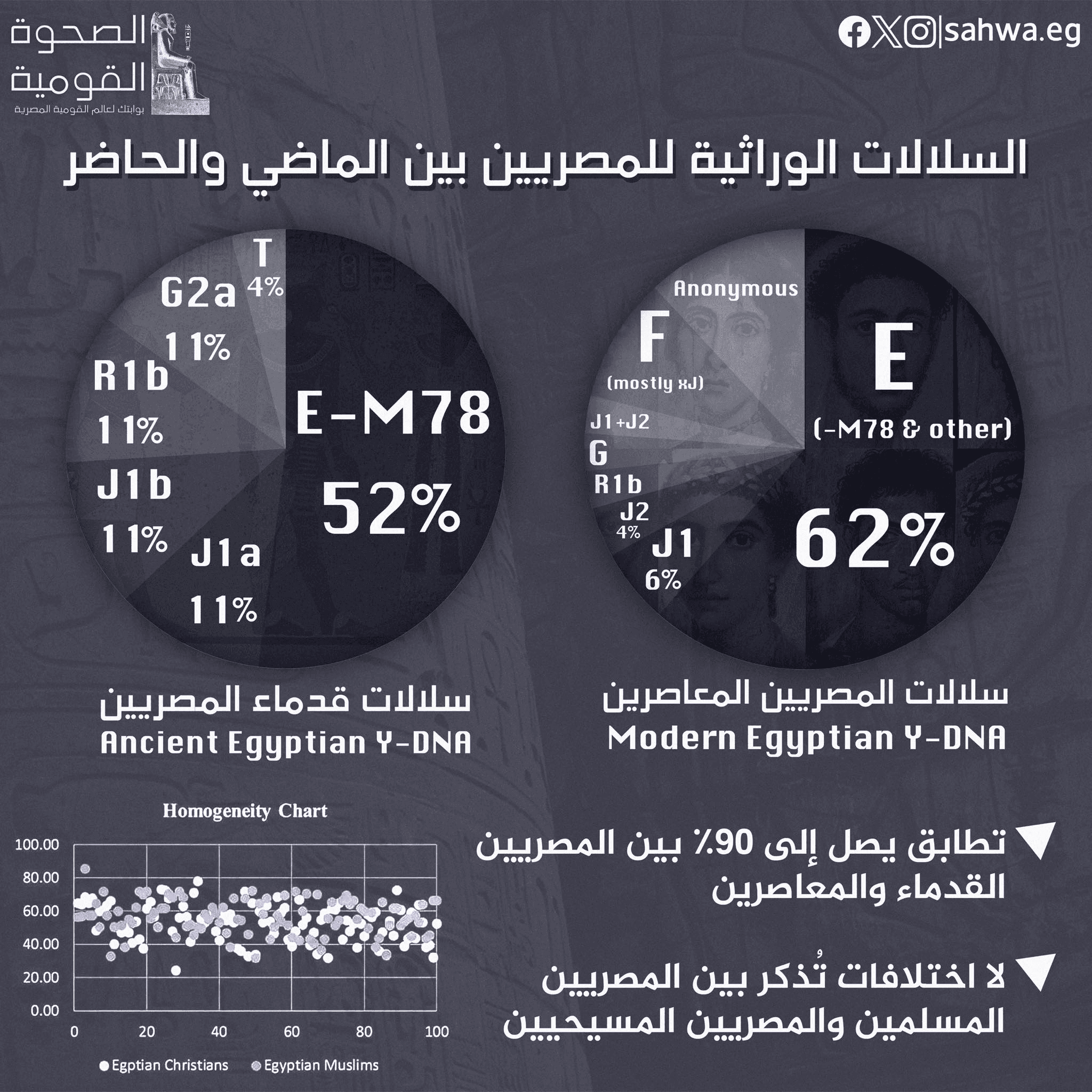 مقارنة السلالات الجينية للمصريين المعاصرين والقدماء